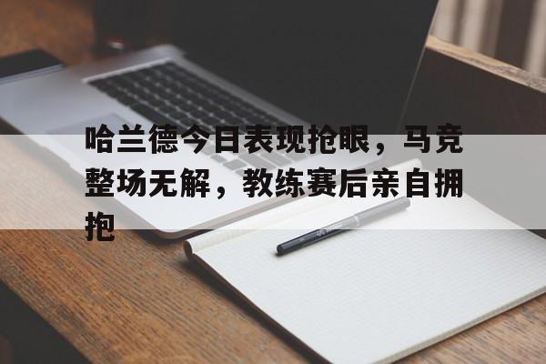 -哈兰德在曼城的比赛表现